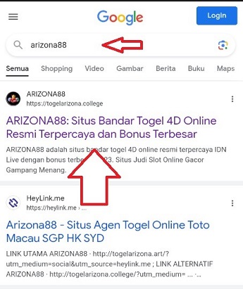 Google Search platform Arizona88